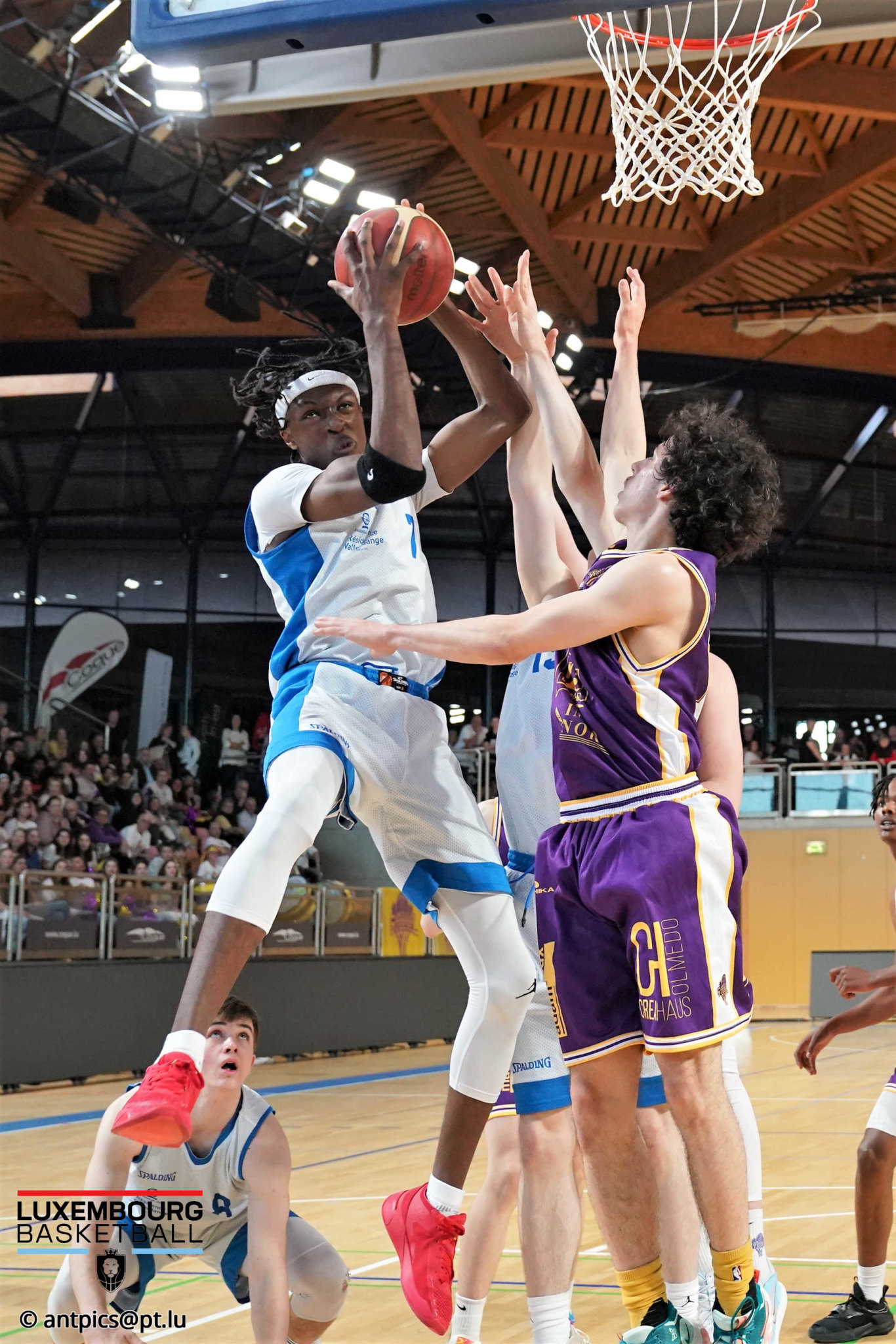 Insigne Cadets De Chalosse Gaujacq Basketball, Ancien, France